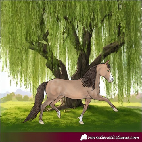 Horse Color:Amber Champagne Sabino 