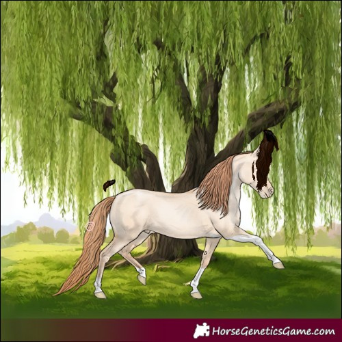 Horse Color:Sable Champagne Pearl Dun Tobiano Rabicano 