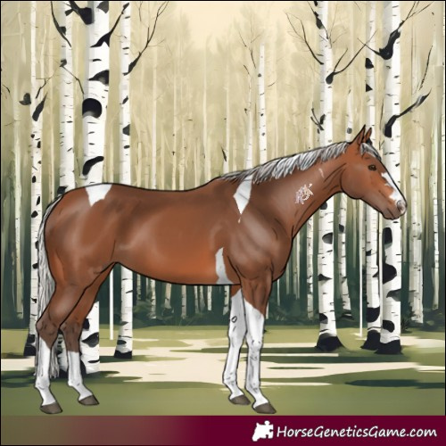 Horse Color:Silver Brown Tobiano 