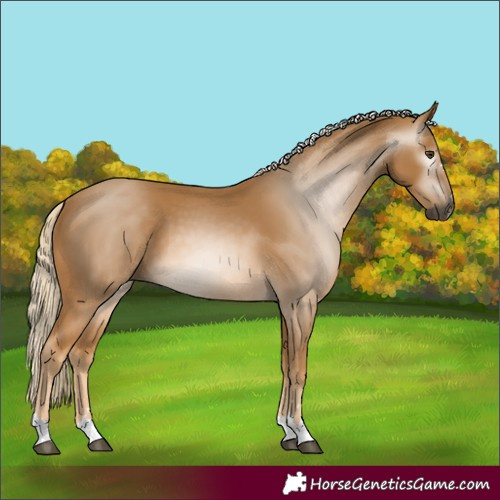 Horse Color:Gray Palomino 