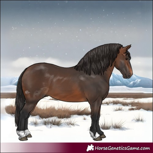 Horse Color:Brown 