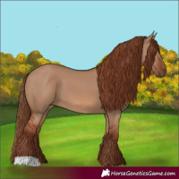 Horse Color:Red Dun 