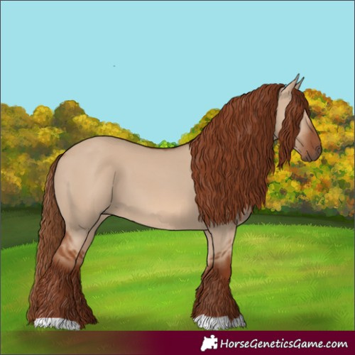 Horse Color:Red Dun