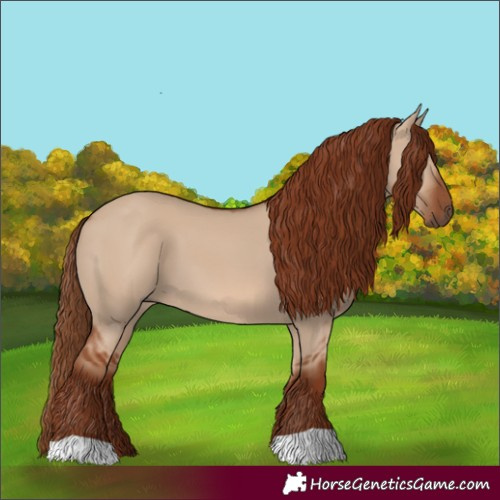 Horse Color:Red Dun