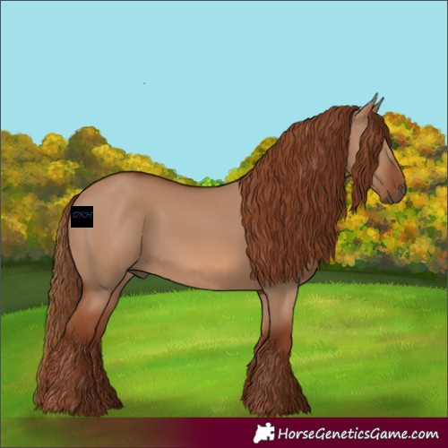 Horse Color:Red Dun 