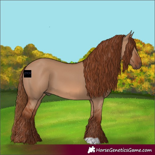 Horse Color:Red Dun