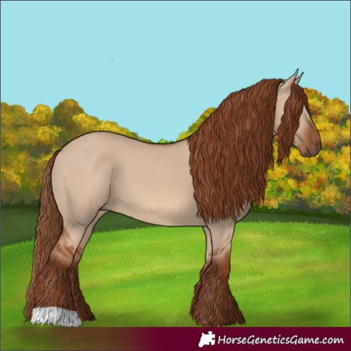 Horse Color:Red Dun