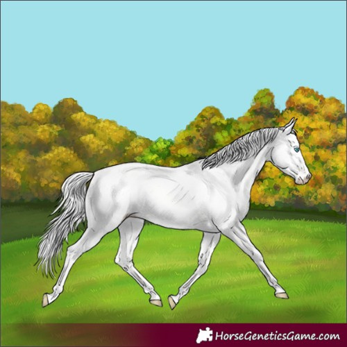 Horse Color:Silver Perlino Dun 