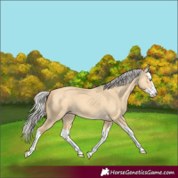 Horse Color:Silver Amber Cream Champagne Dun Splash 