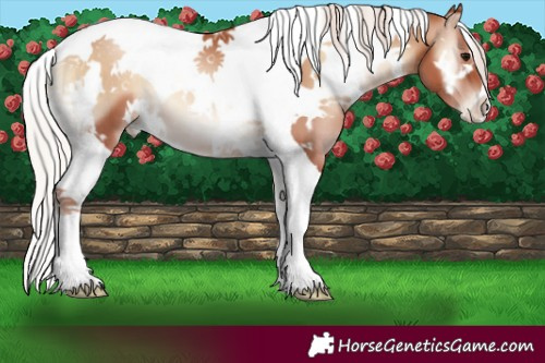 Horse Color:White Spotted Silver Blue Onyx Pearl Tobiano 