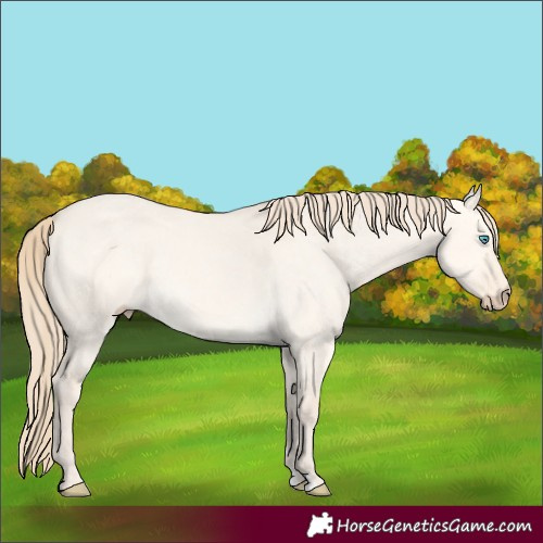 Horse Color:Perlino Dun
