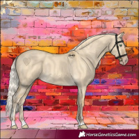 Horse Color:Silver Classic Cream Champagne Dun 