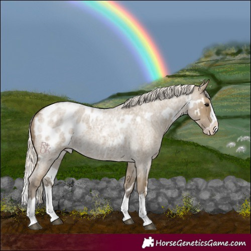 Horse Color:White Spotted Silver Smoky Grullo Roan Splash Blanket
