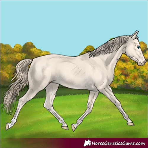 Horse Color:Perlino 