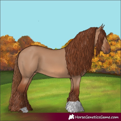 Horse Color:Red Dun