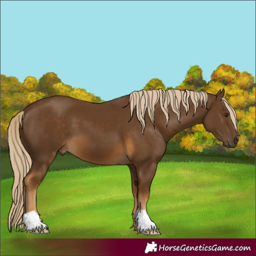 Horse Color:Chocolate Palomino