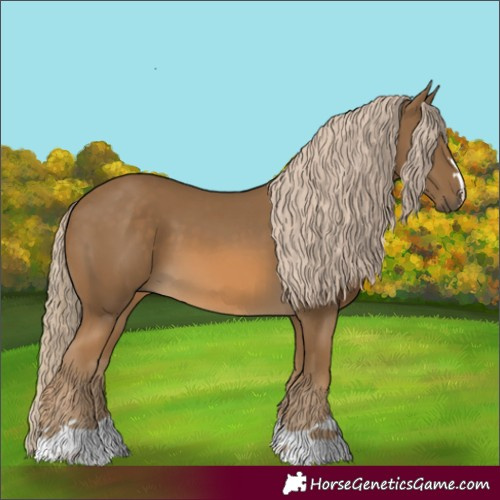Horse Color:Chocolate Palomino