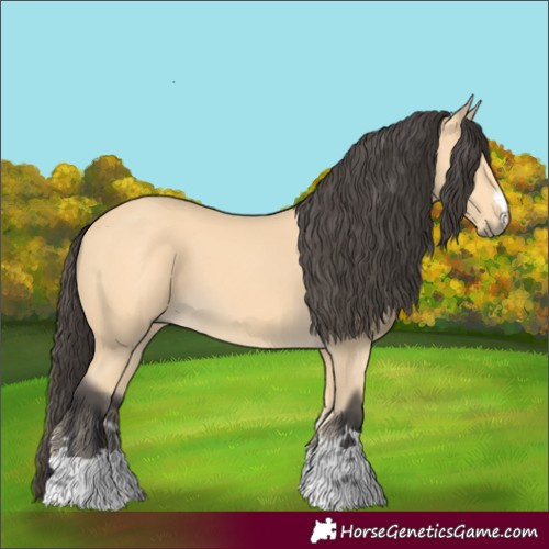 Horse Color:Buckskin