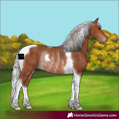 Horse Color:Silver Bay Tobiano Rabicano 