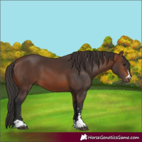 Horse Color:Brown 