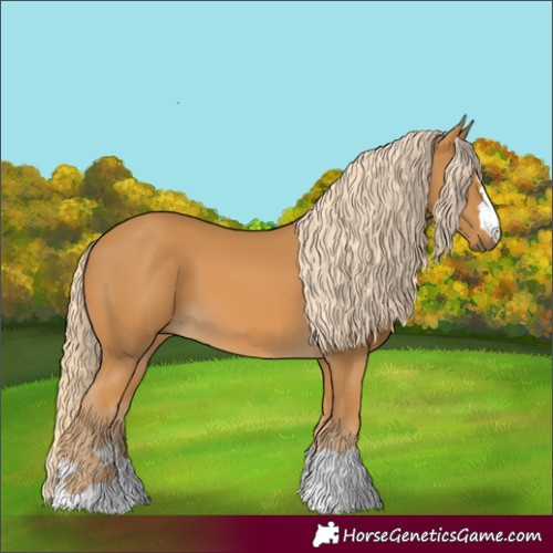 Horse Color:Palomino 
