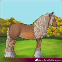 Horse Color:Chocolate Palomino