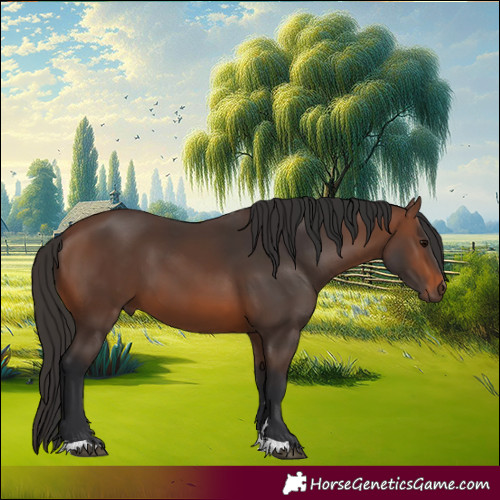 Horse Color:Brown 