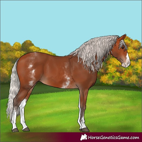 Horse Color:White Spotted Silver Bay Splash 