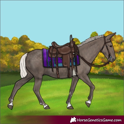 Horse Color:Silver Black