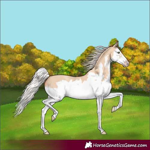Horse Color:Silver Classic Champagne Dun Splash Frame