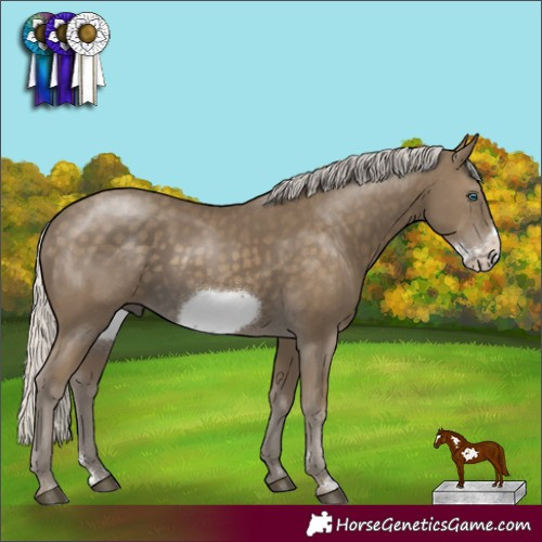 Horse Color:Silver Smoky Black Frame 