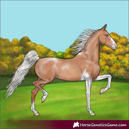 Horse Color:Silver Sable Champagne Tobiano Rabicano 