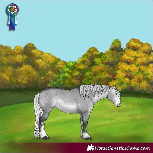 Horse Color:Silver Bay Chinchilla Dun Sabino Tobiano 