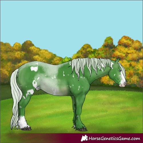Horse Color:Watercolor White Spotted Silver Brown Chinchilla Sabino 