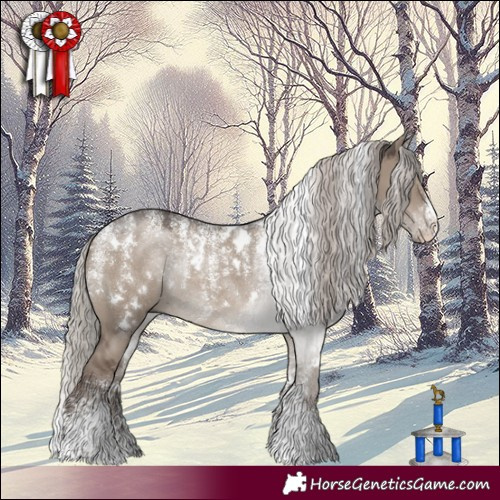 Horse Color:Powder White White Spotted Silver Grullo Rabicano