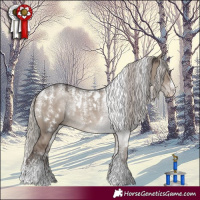 Horse Color:Powder White White Spotted Silver Grullo Rabicano 