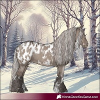 Horse Color:Powder White White Spotted Silver Grullo Blanket 
