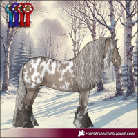 Horse Color:Powder White White Spotted Silver Grullo Blanket