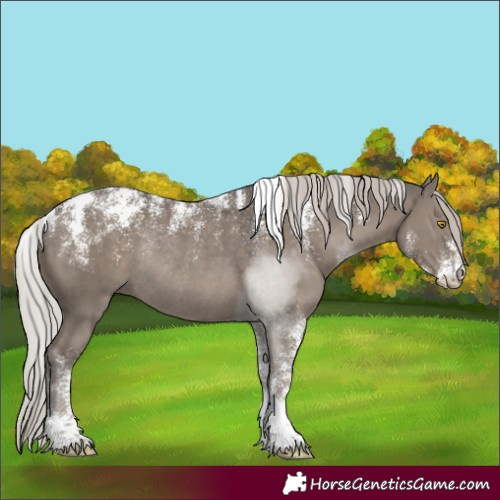Horse Color:Powder White Silver Grullo Rabicano