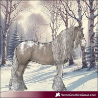 Horse Color:Powder White Silver Grullo Rabicano 
