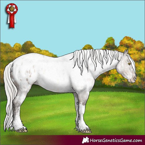 Horse Color:Powder White White Spotted Silver Brown Dun Near Leopard Rabicano