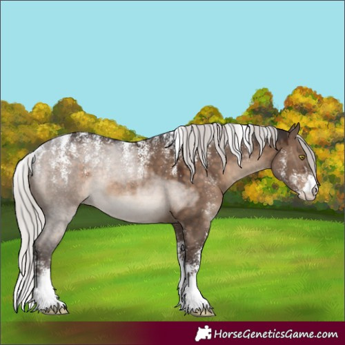 Horse Color:Powder White Silver Brown Dun Rabicano 
