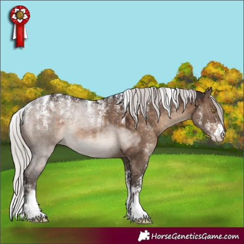 Horse Color:Powder White Silver Brown Dun Rabicano 
