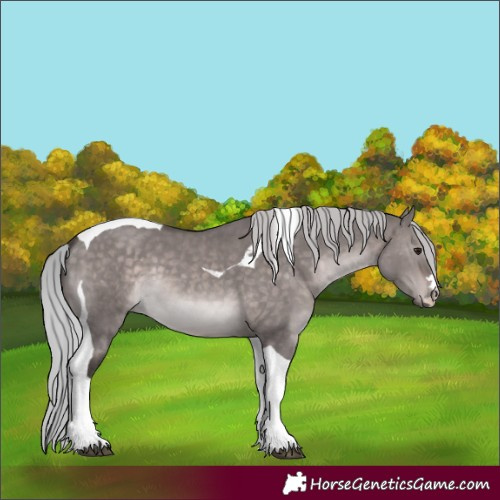 Horse Color:Platinum Silver Brown Dun Tobiano