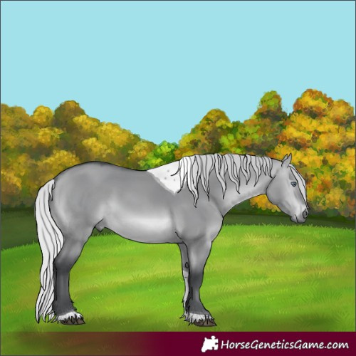 Horse Color:Silver Brown Chinchilla Dun Tobiano 