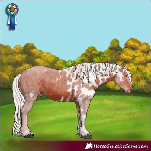 Horse Color:White Spotted Silver Brown Tobiano Skewed Appaloosa Rabicano 