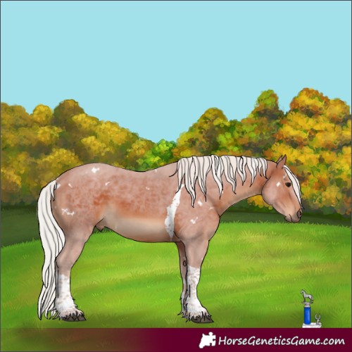 Horse Color:White Spotted Silver Brown Tobiano Rabicano 