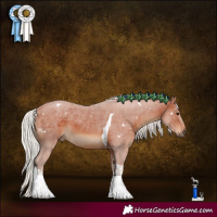 Horse Color:White Spotted Silver Brown Tobiano Rabicano 
