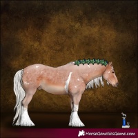 Horse Color:White Spotted Silver Brown Tobiano Rabicano