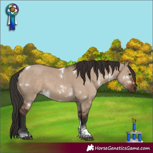 Horse Color:White Spotted Liver Red Dun Tobiano 